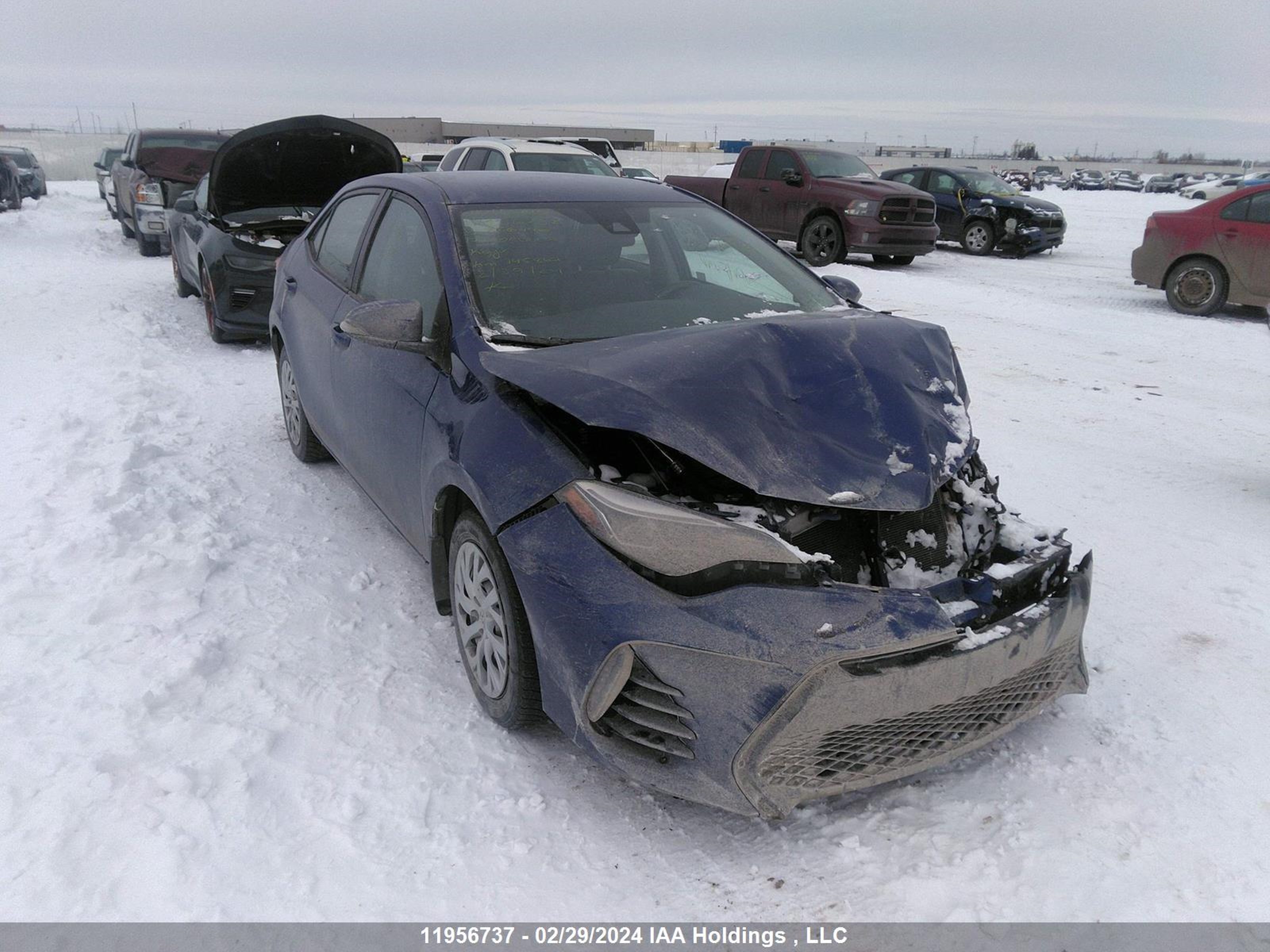 TOYOTA COROLLA 2017 2t1burhe0hc856496