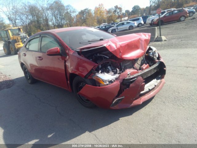 TOYOTA COROLLA 2016 2t1burhe1gc537932