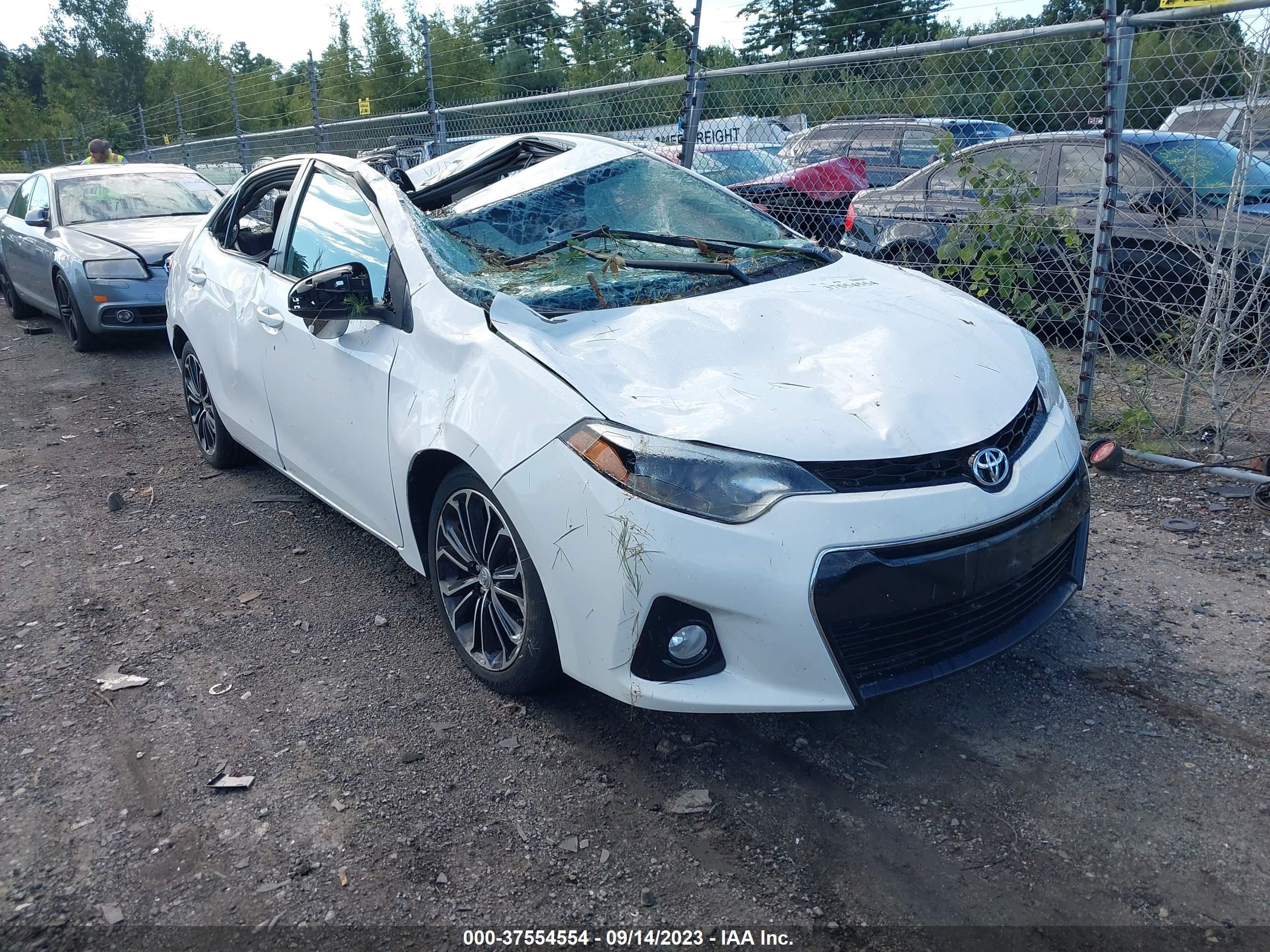 TOYOTA COROLLA 2016 2t1burhe1gc615481