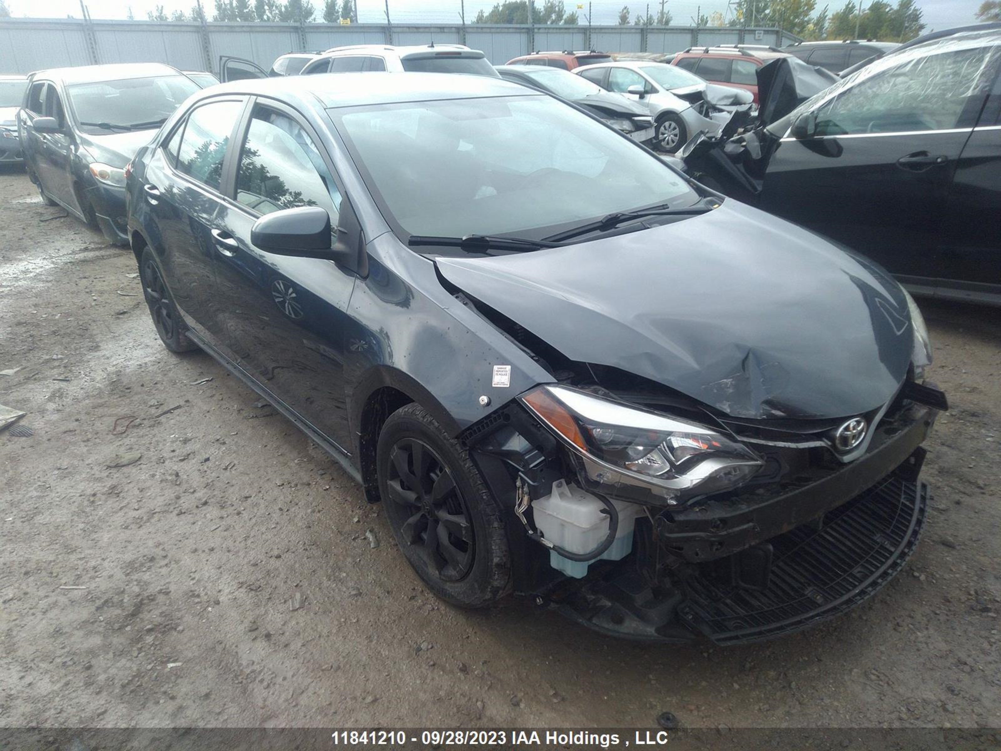 TOYOTA COROLLA 2016 2t1burhe1gc655883