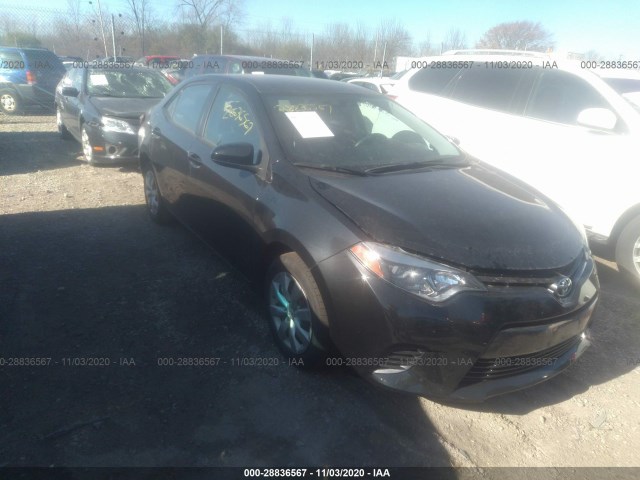 TOYOTA COROLLA 2016 2t1burhe1gc676605