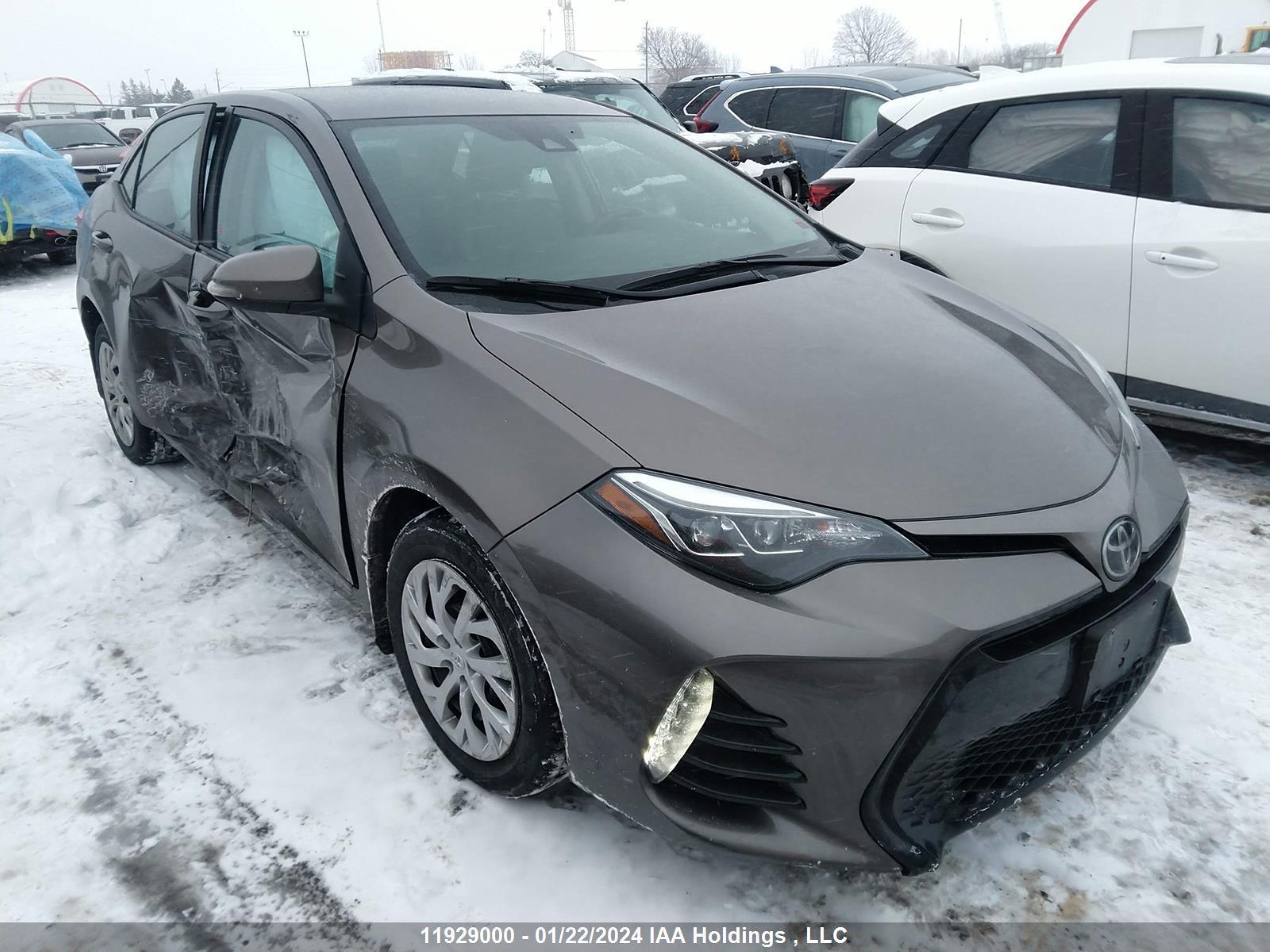 TOYOTA COROLLA 2017 2t1burhe1hc960799