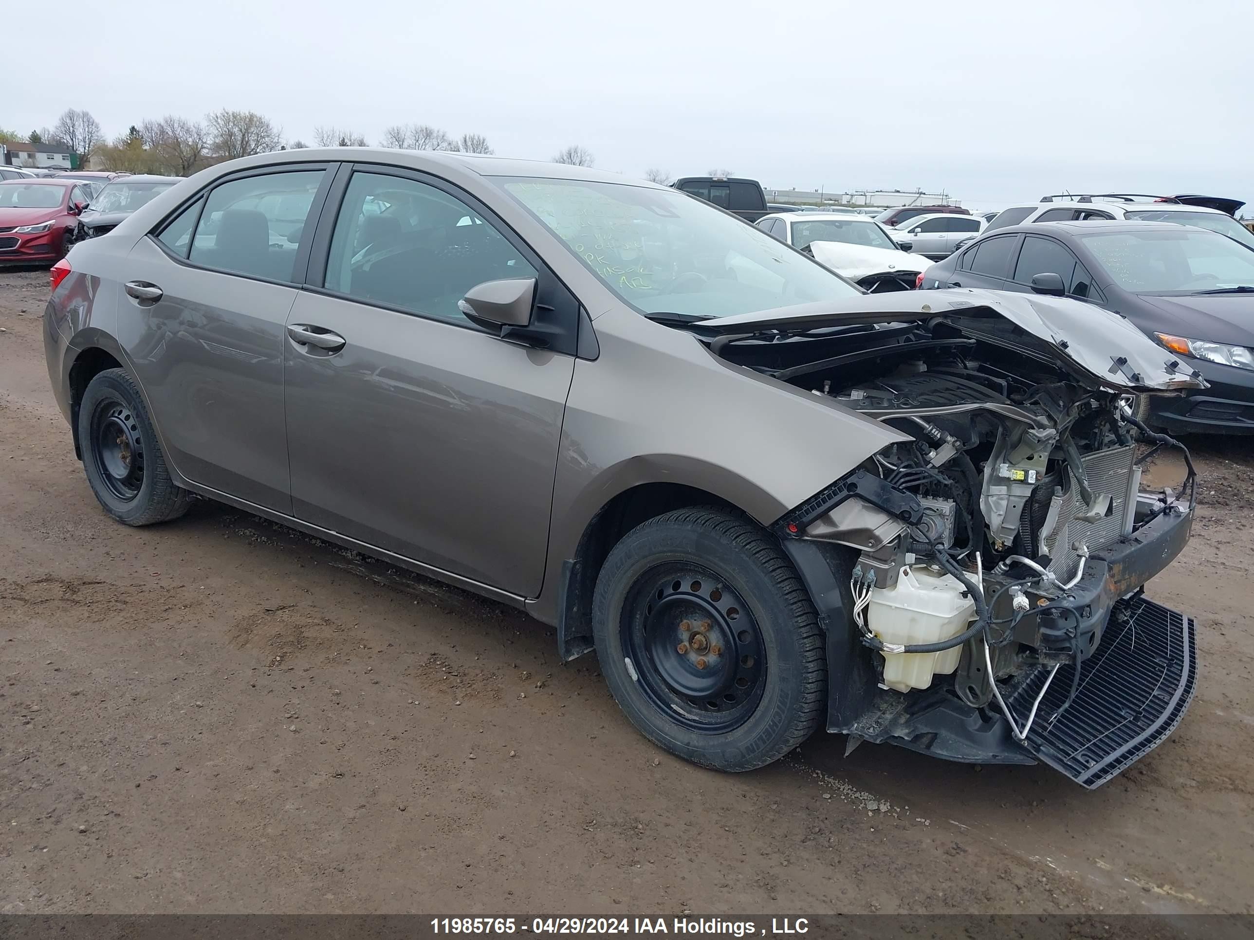 TOYOTA COROLLA 2019 2t1burhe1kc145168