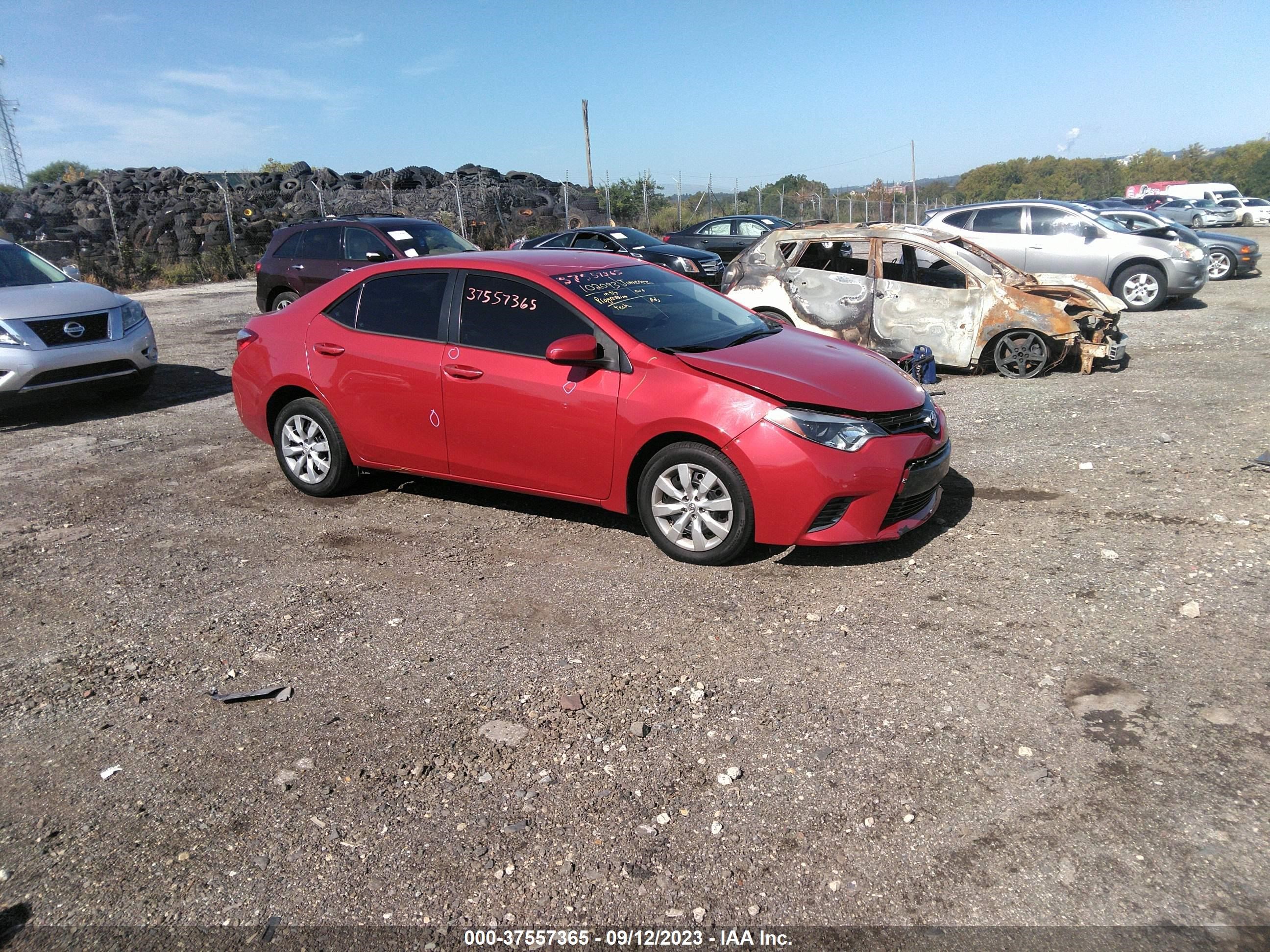 TOYOTA COROLLA 2016 2t1burhe2gc483458