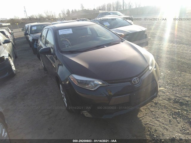 TOYOTA COROLLA 2016 2t1burhe2gc544243