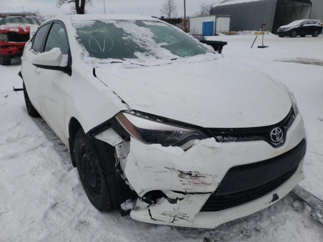 TOYOTA COROLLA L 2016 2t1burhe2gc641202