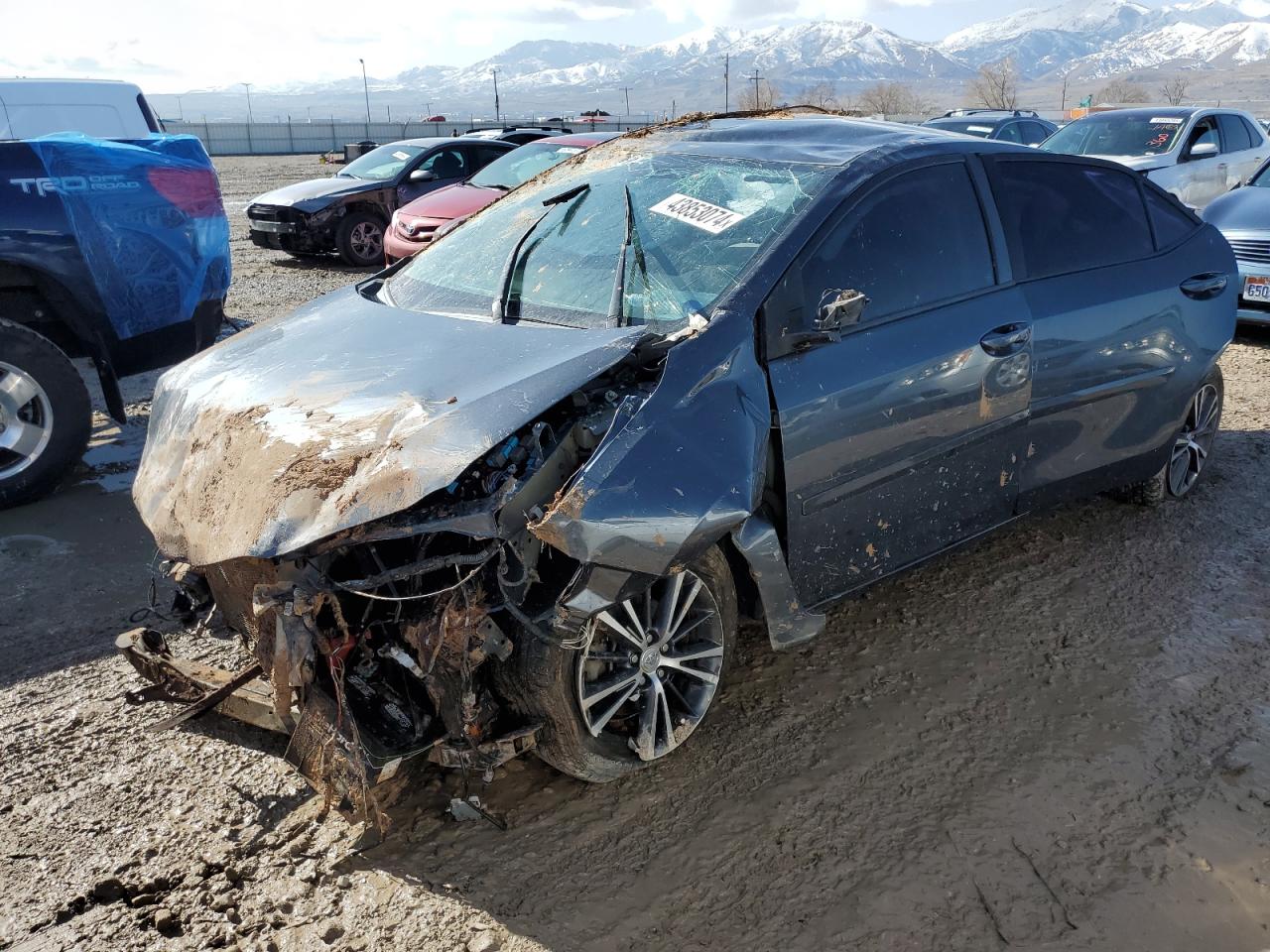 TOYOTA COROLLA 2016 2t1burhe2gc651499