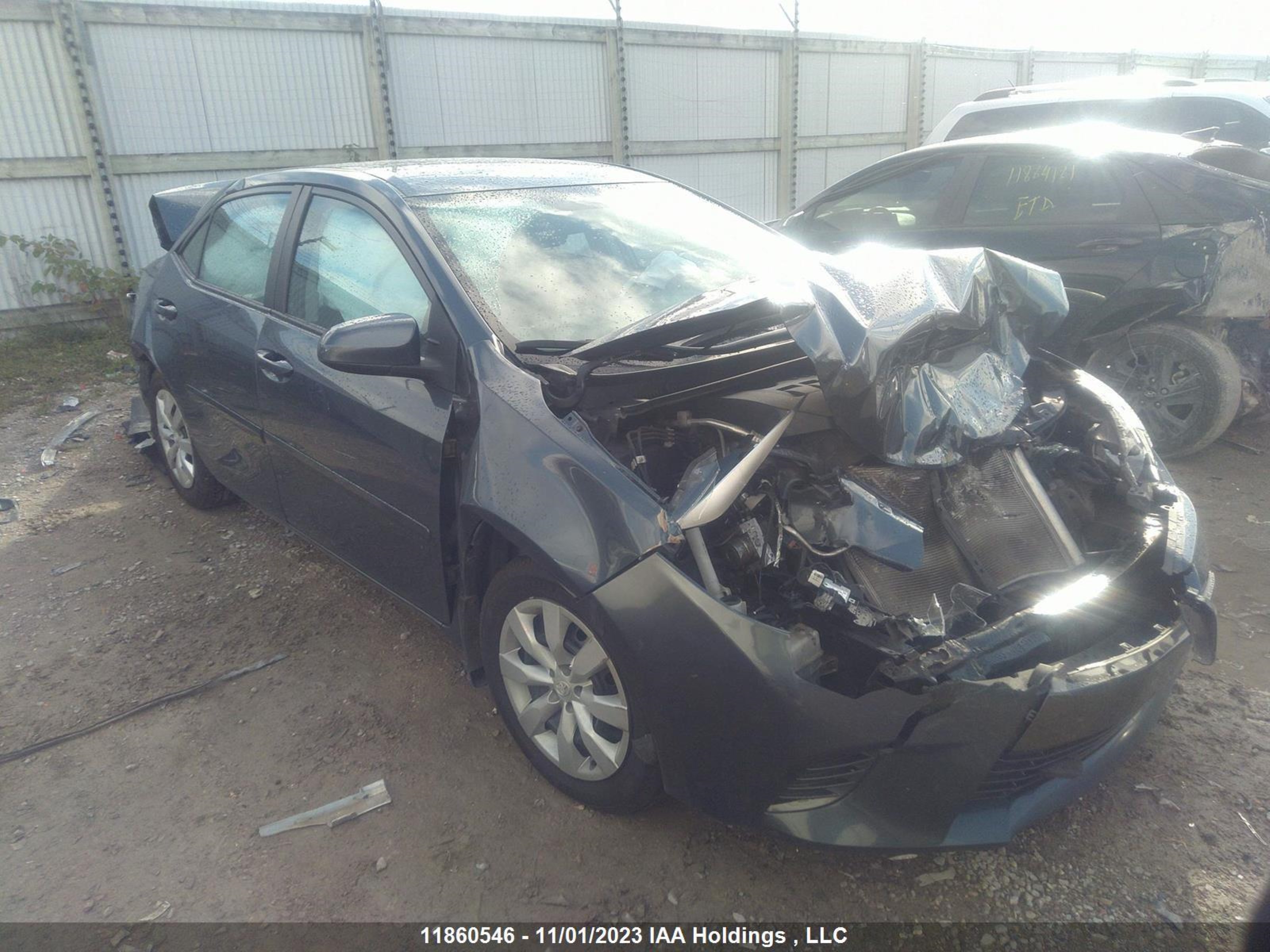 TOYOTA COROLLA 2016 2t1burhe2gc663569