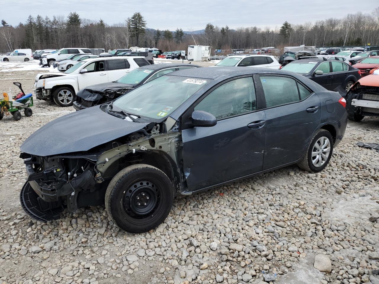 TOYOTA COROLLA 2016 2t1burhe2gc710728