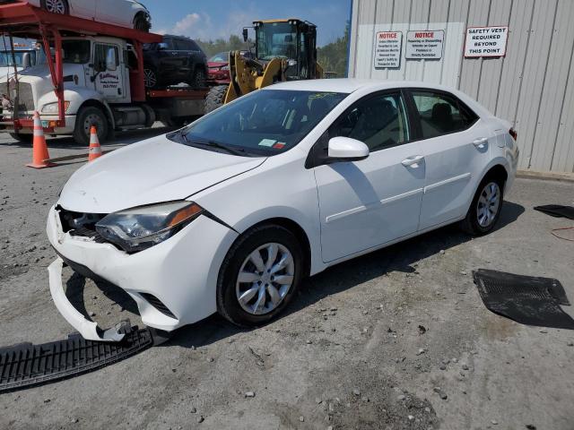 TOYOTA COROLLA L 2014 2t1burhe3ec017499