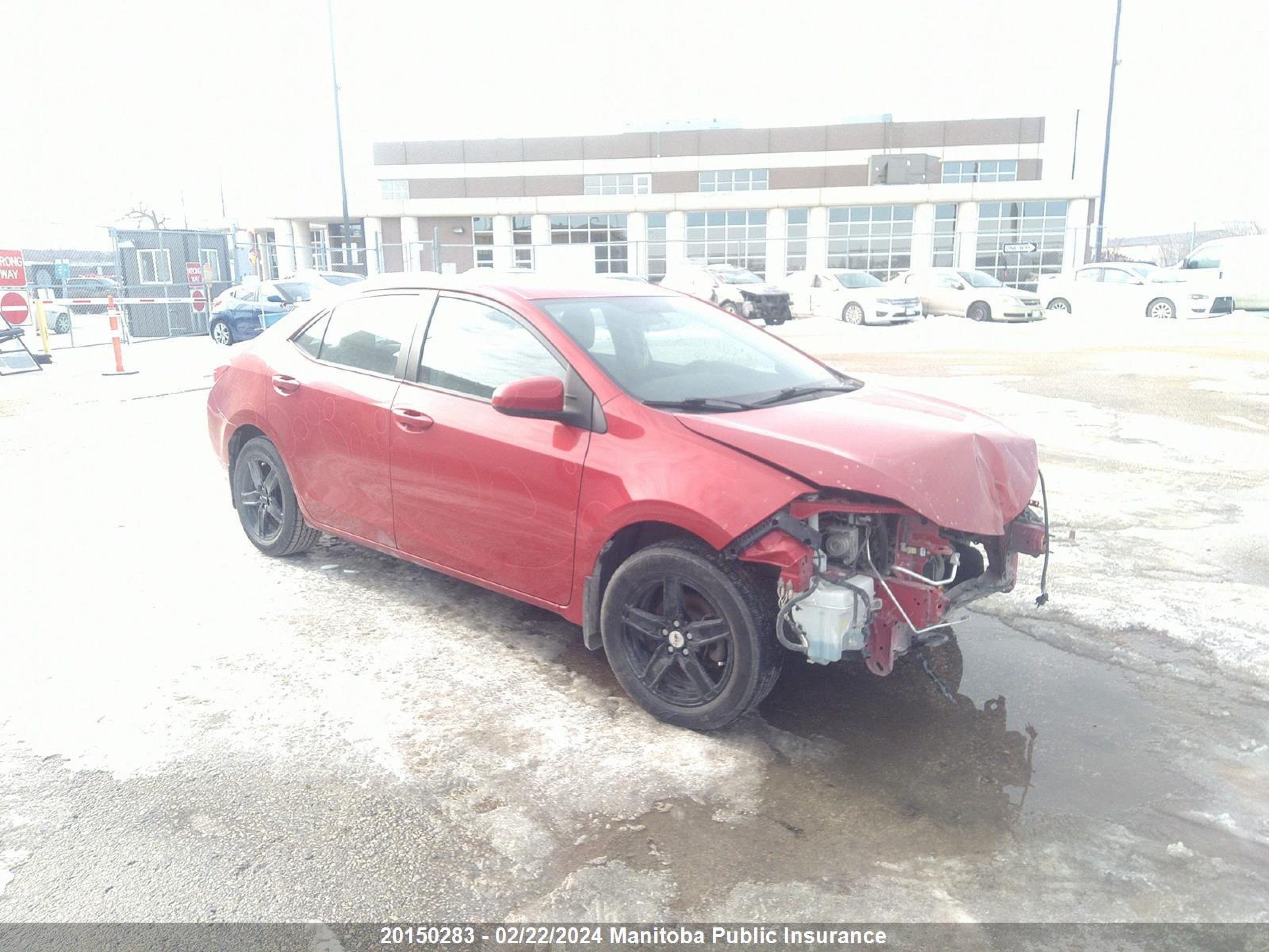 TOYOTA COROLLA 2016 2t1burhe3gc490158