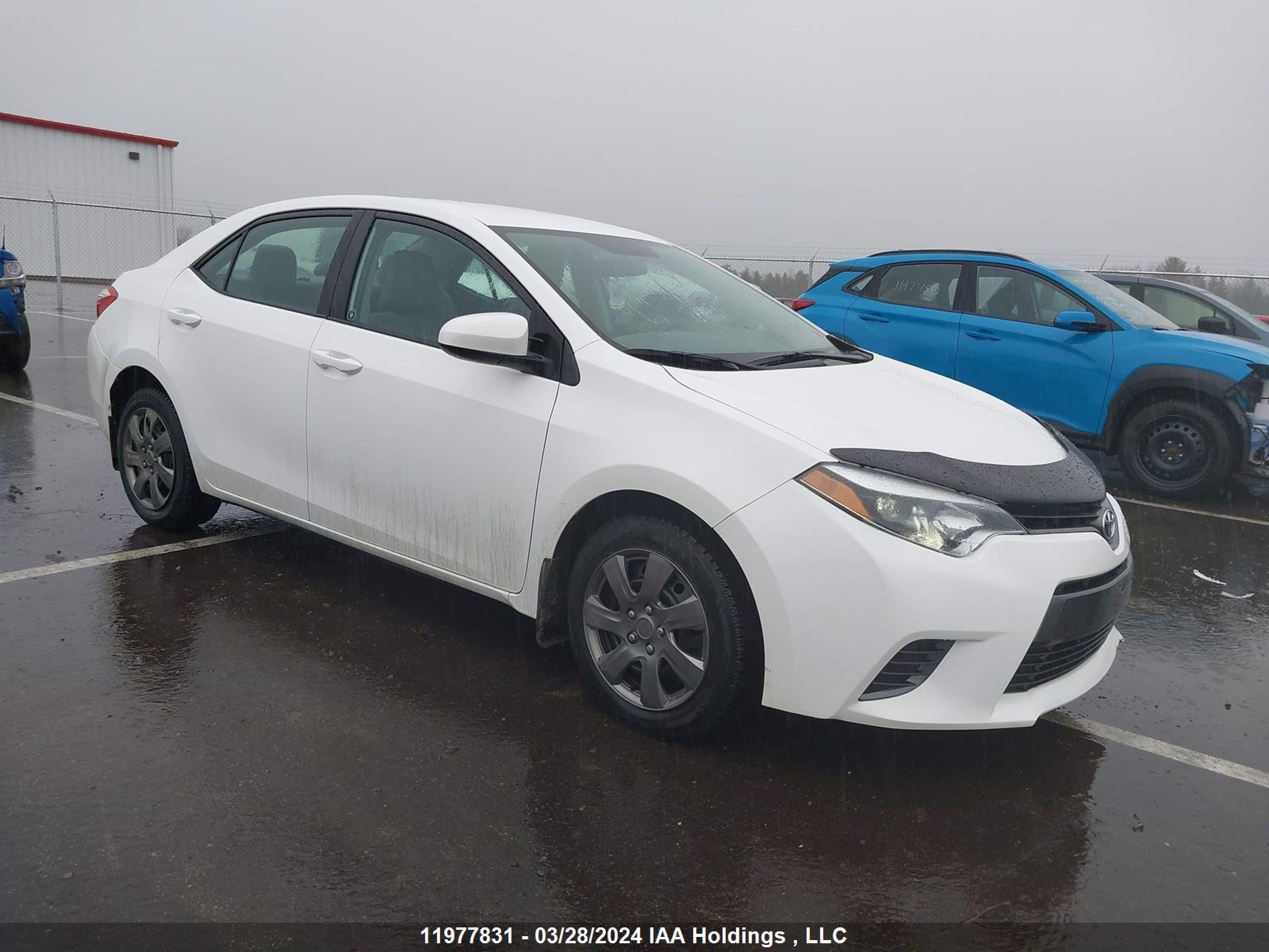 TOYOTA COROLLA 2016 2t1burhe3gc505757