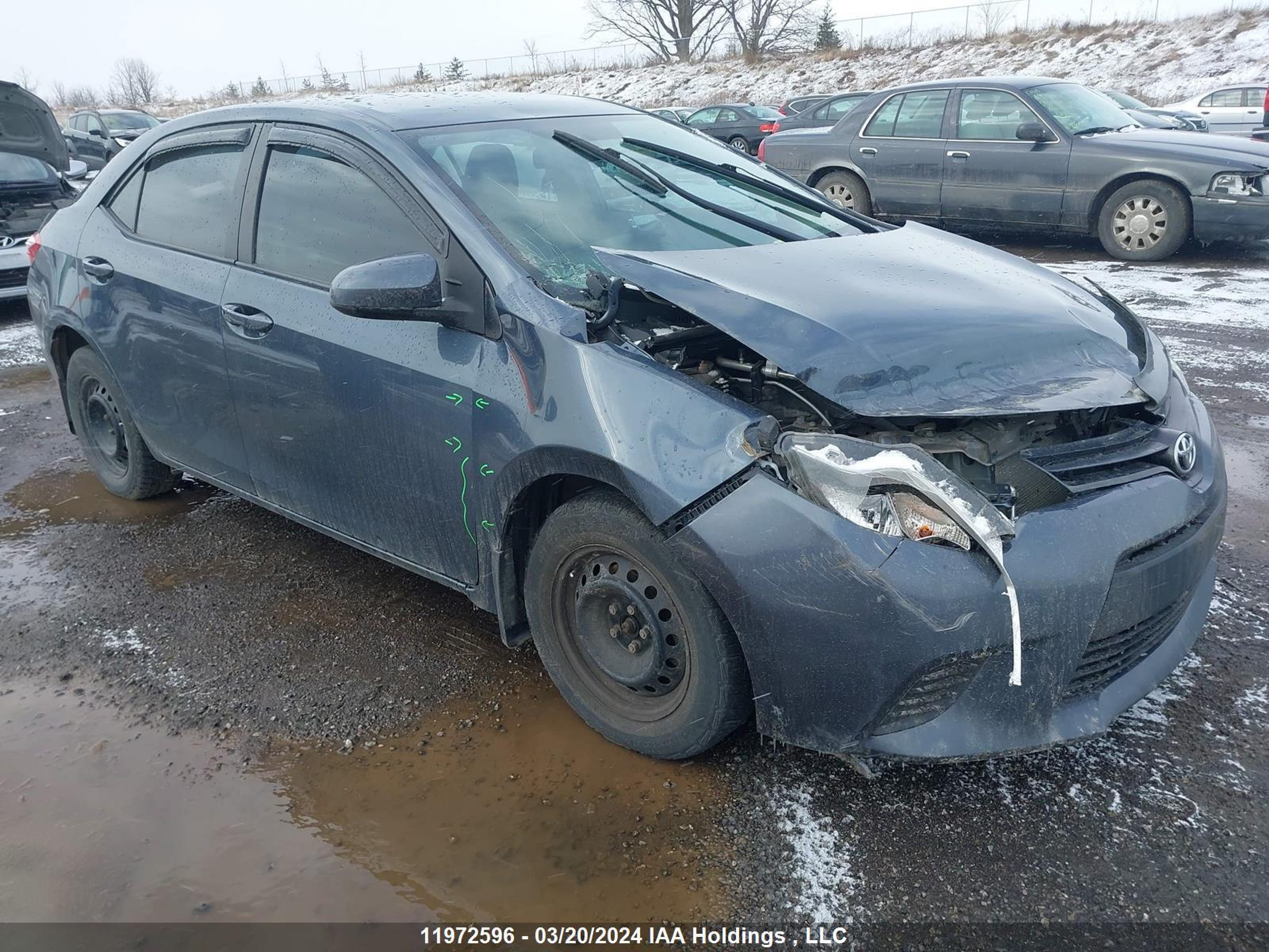 TOYOTA COROLLA 2016 2t1burhe3gc549175