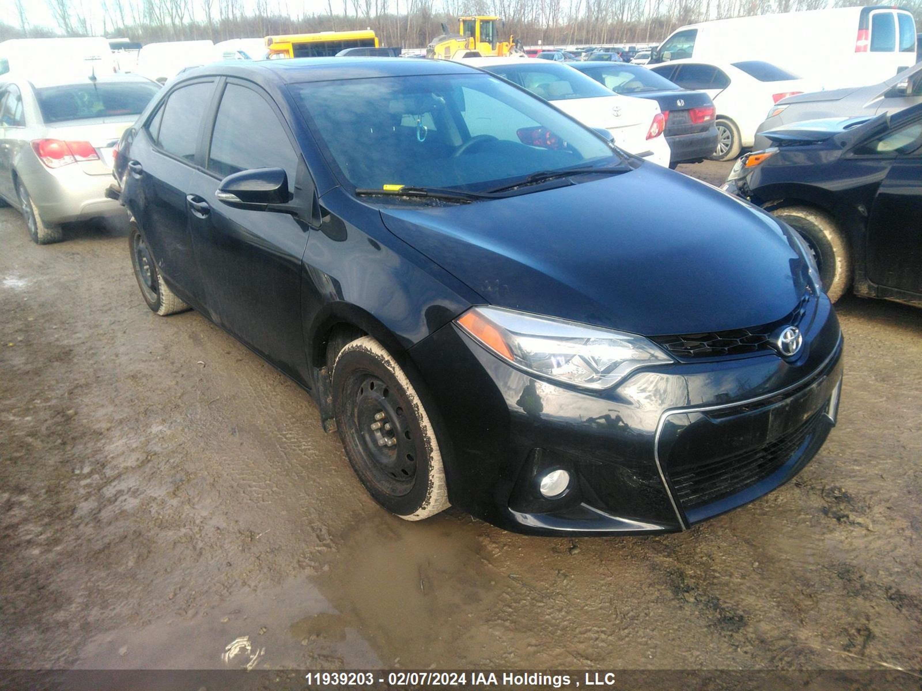 TOYOTA COROLLA 2016 2t1burhe3gc634484