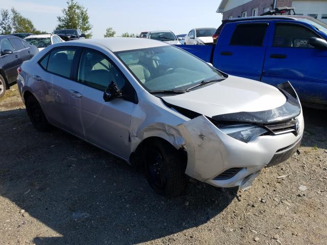 TOYOTA COROLLA LE 2016 2t1burhe3gc646361