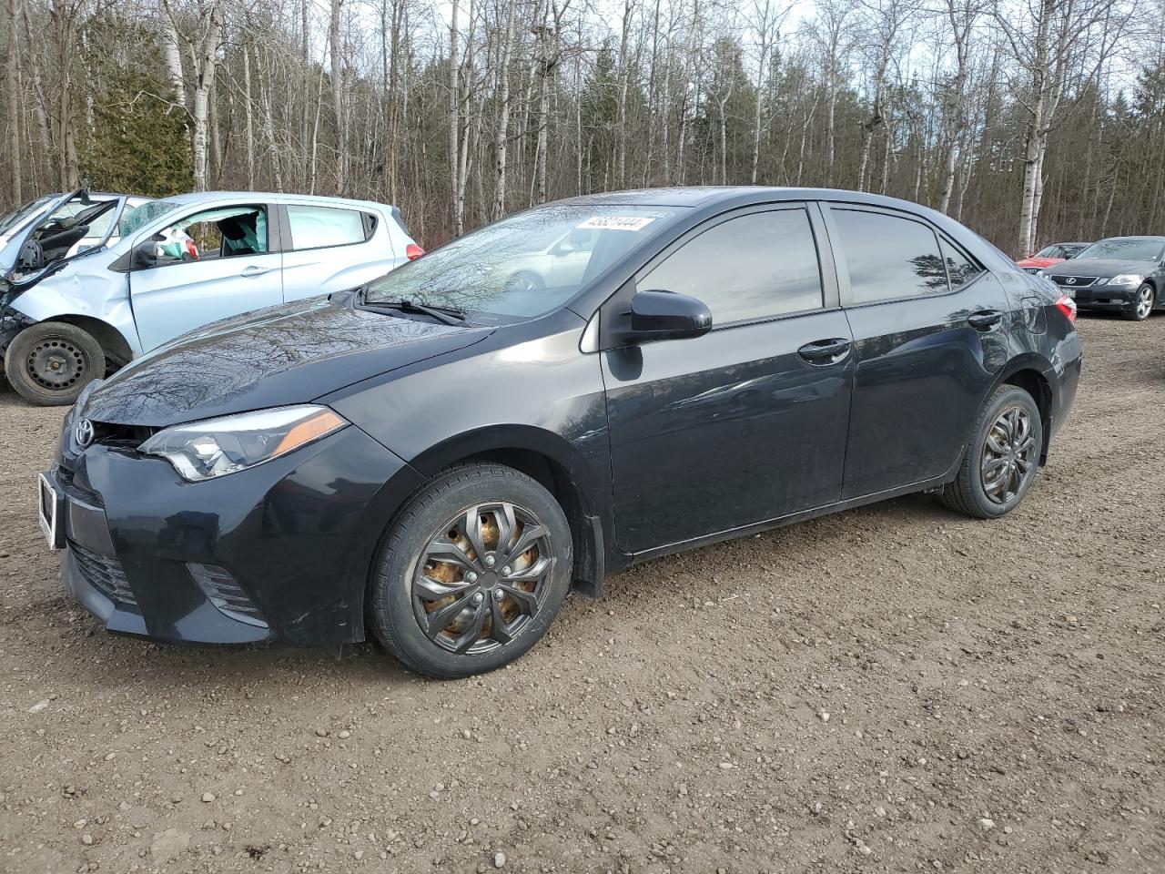 TOYOTA COROLLA 2016 2t1burhe3gc671616