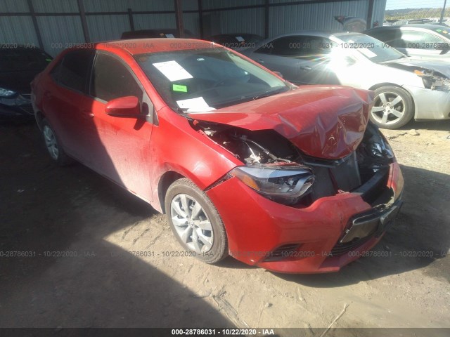 TOYOTA COROLLA 2016 2t1burhe3gc692482