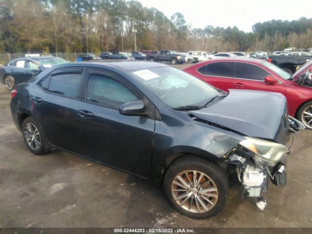 TOYOTA COROLLA 2016 2t1burhe3gc711130