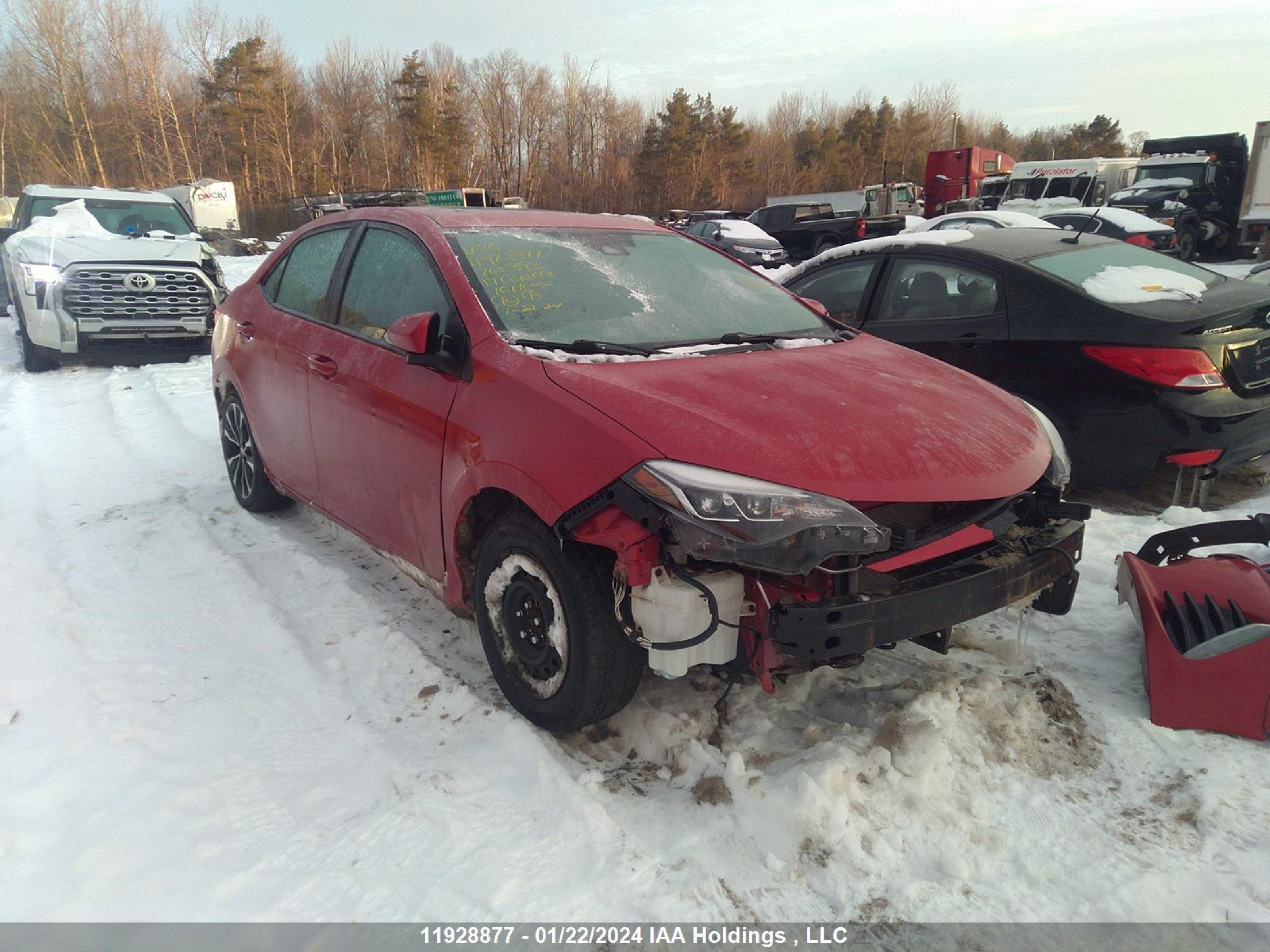 TOYOTA COROLLA 2017 2t1burhe3hc760393