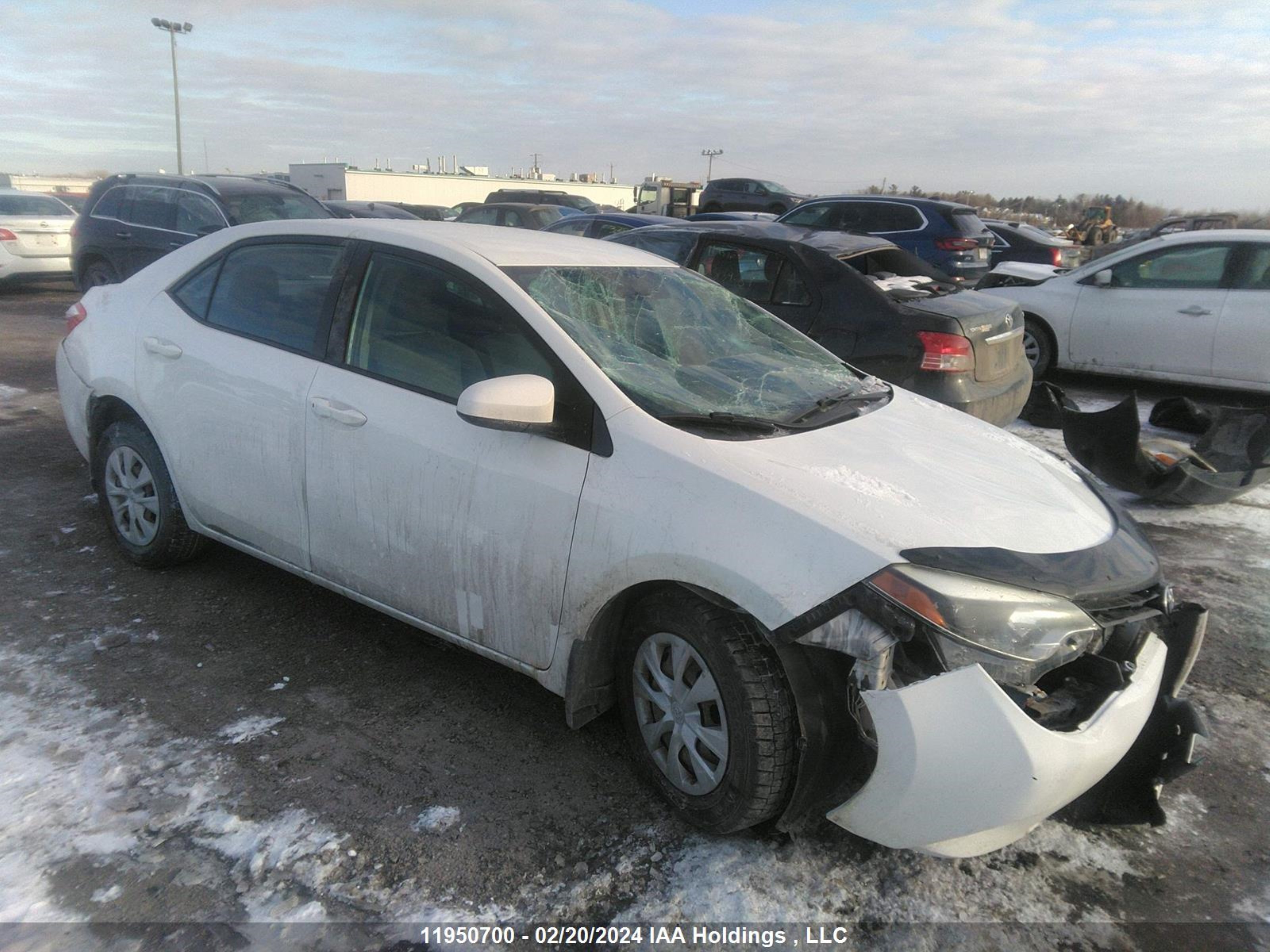 TOYOTA COROLLA 2015 2t1burhe4fc301791