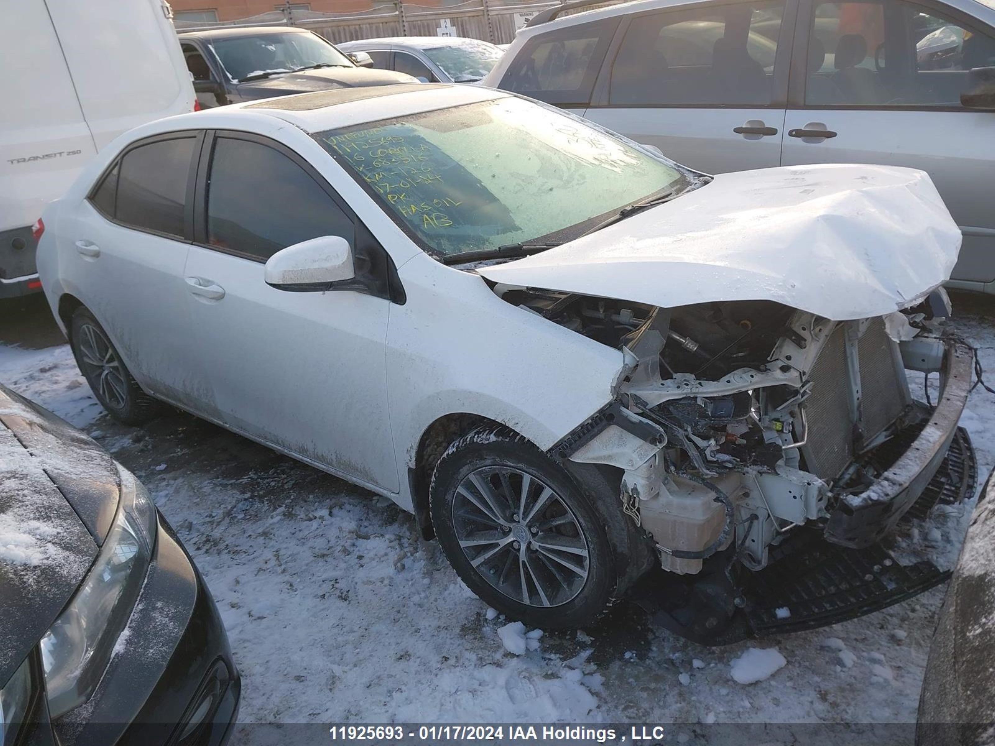 TOYOTA COROLLA 2016 2t1burhe4gc683516