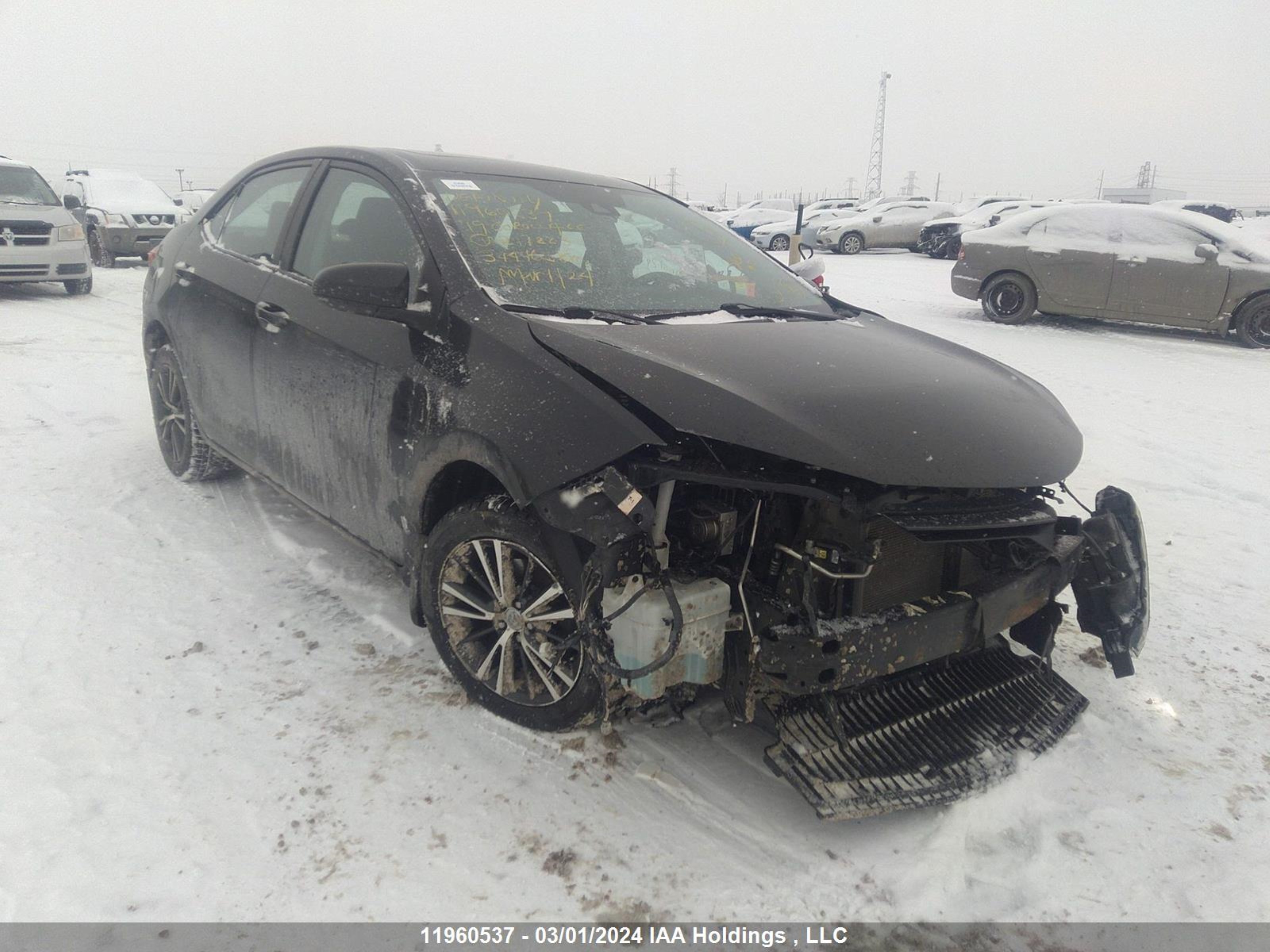 TOYOTA COROLLA 2019 2t1burhe4kc217223