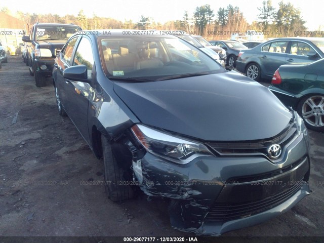 TOYOTA COROLLA 2016 2t1burhe5gc526190