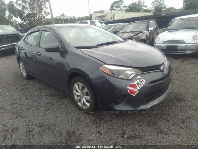 TOYOTA COROLLA 2016 2t1burhe5gc647284