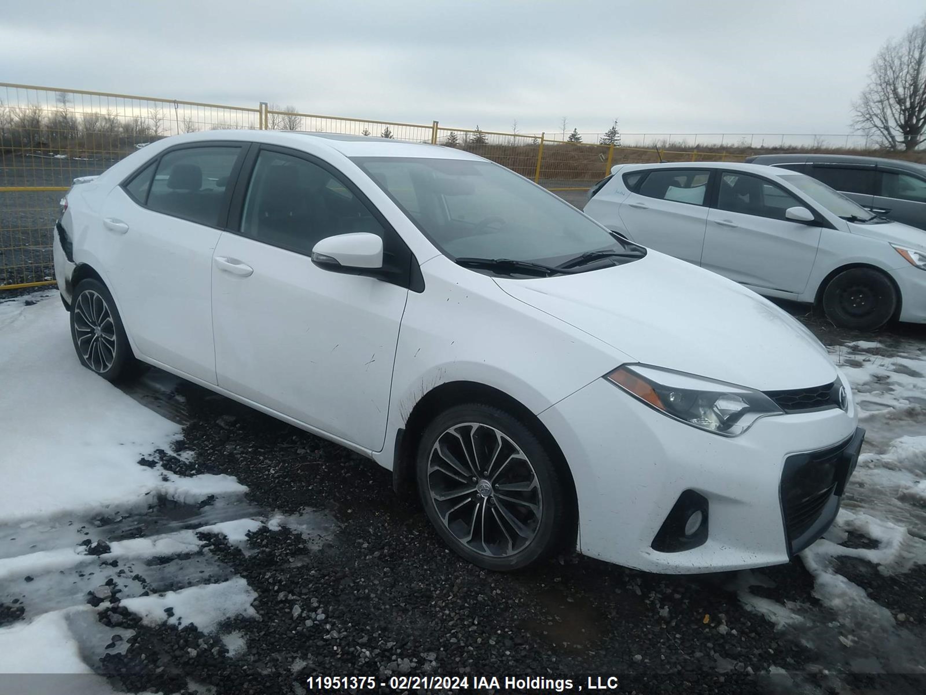 TOYOTA COROLLA 2016 2t1burhe5gc719486