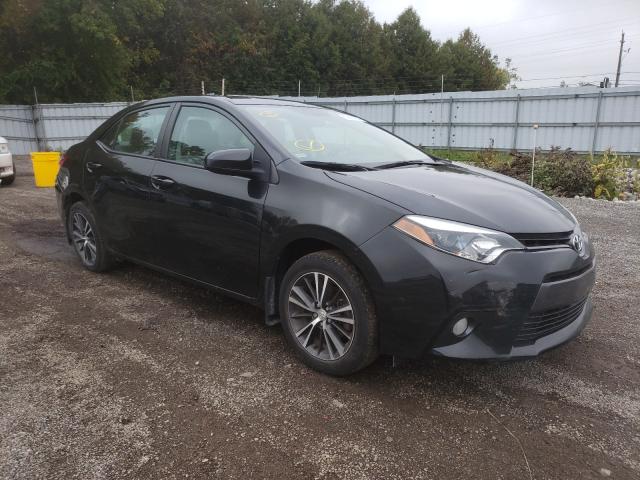 TOYOTA COROLLA L 2016 2t1burhe5gc730388