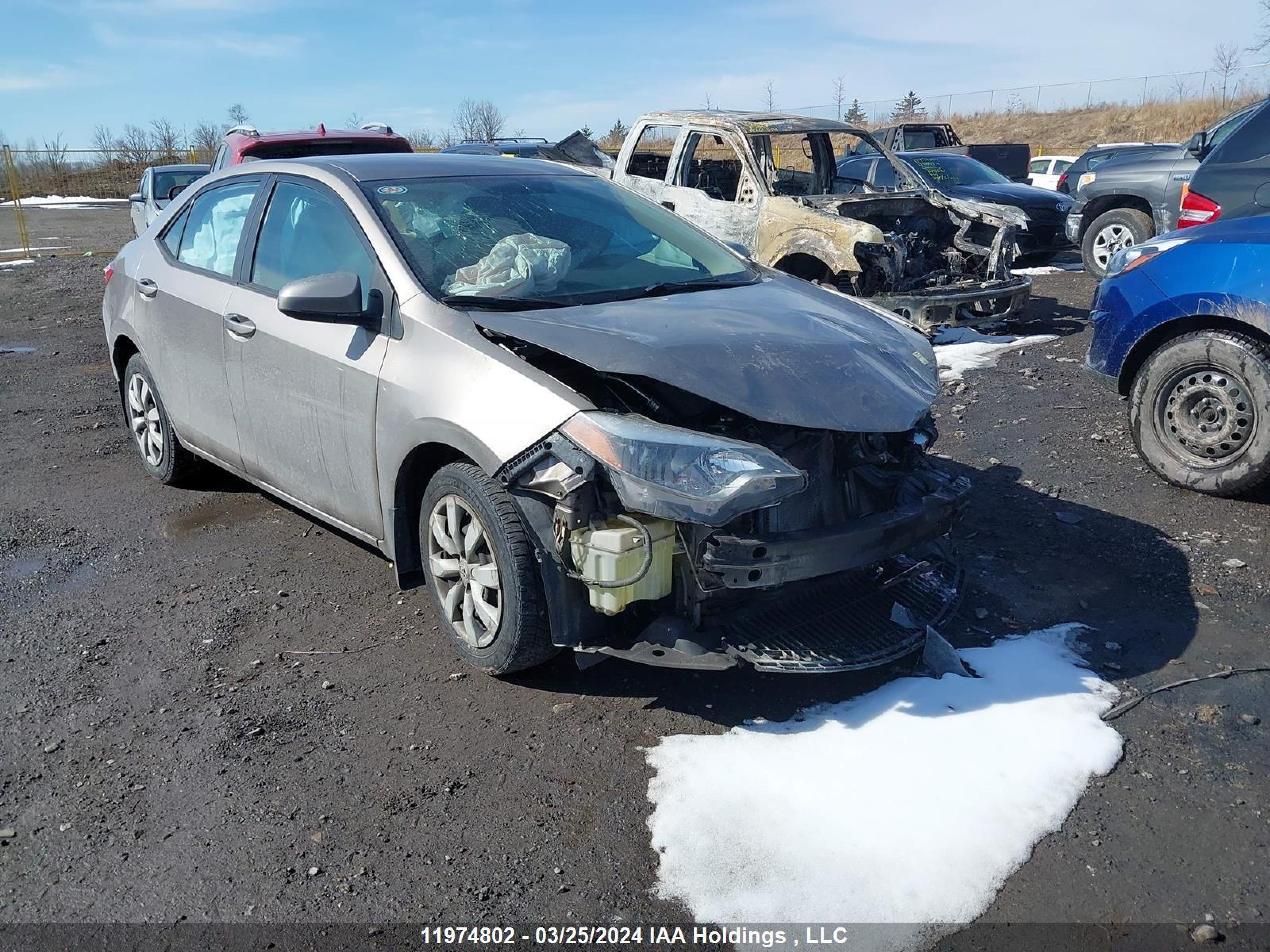 TOYOTA COROLLA 2016 2t1burhe6gc591338