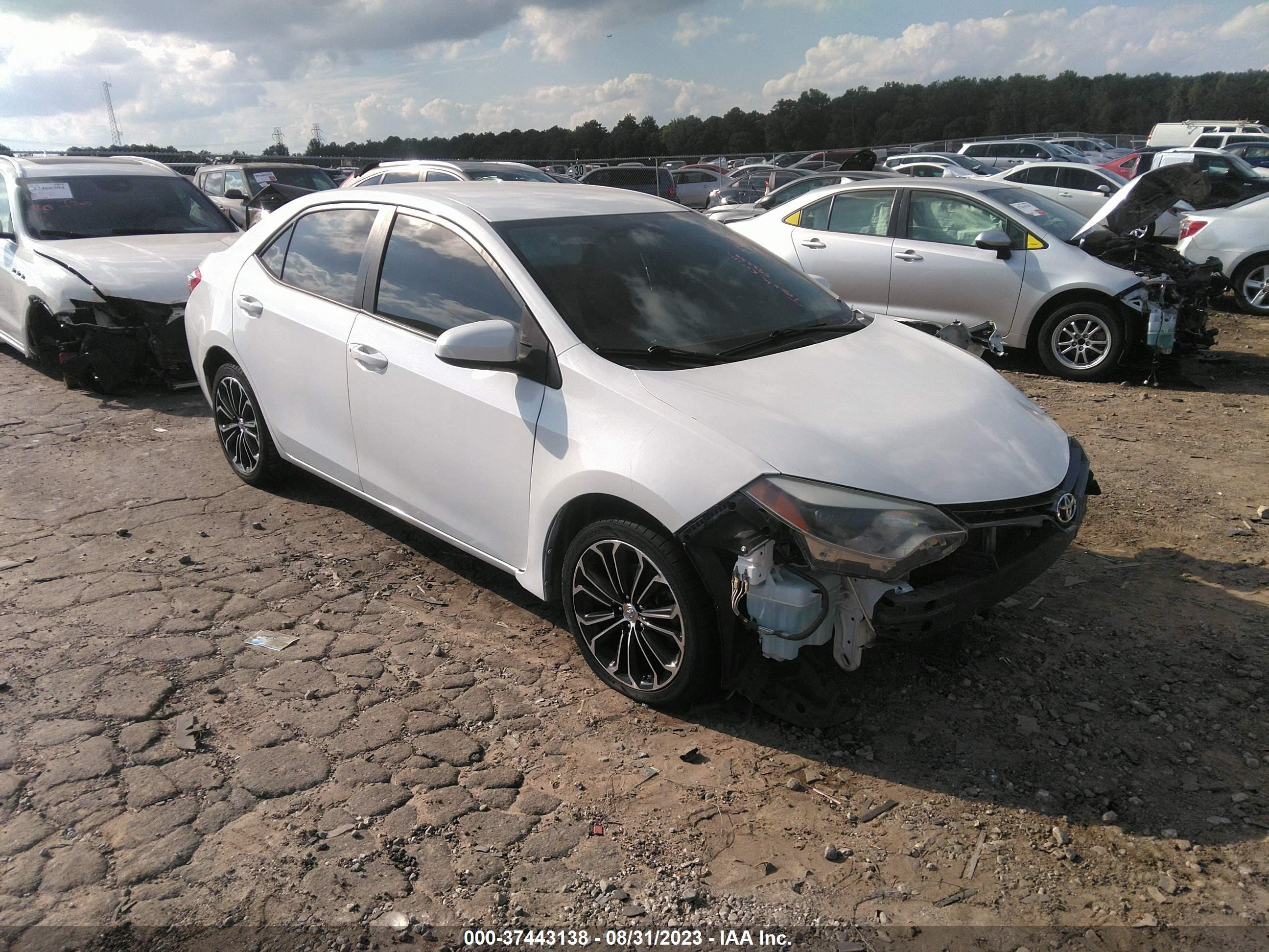 TOYOTA COROLLA 2016 2t1burhe6gc592229