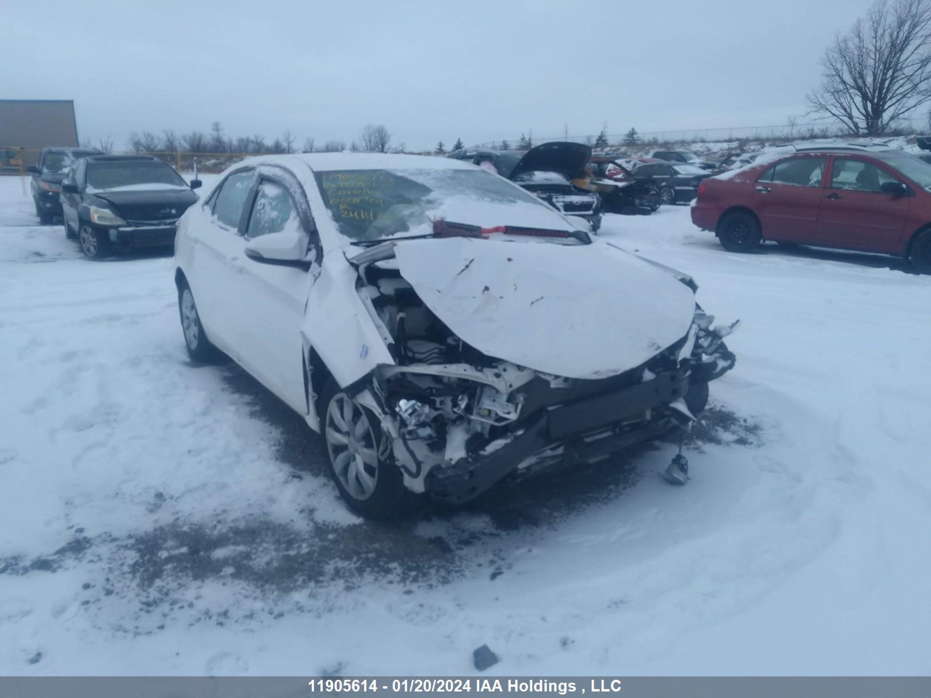 TOYOTA COROLLA 2016 2t1burhe6gc658701