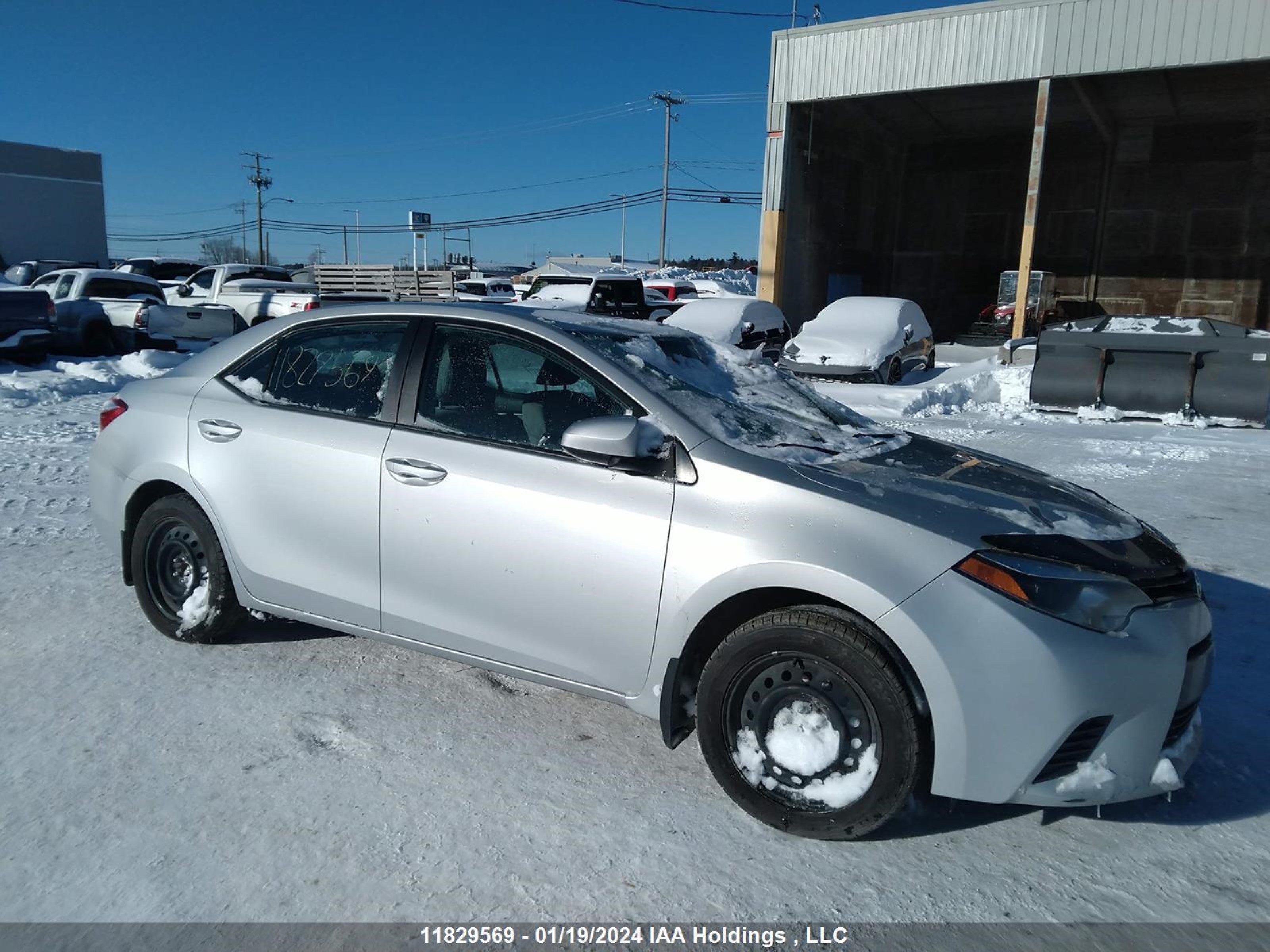 TOYOTA COROLLA 2016 2t1burhe6gc671450