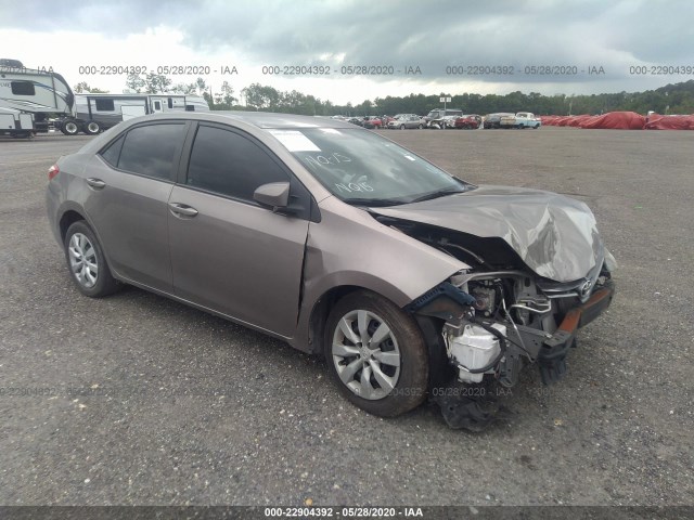 TOYOTA COROLLA 2016 2t1burhe6gc698034