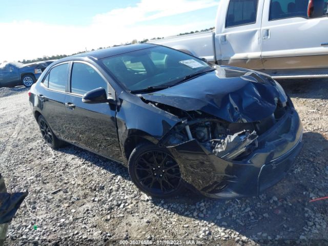 TOYOTA COROLLA 2016 2t1burhe8gc566313