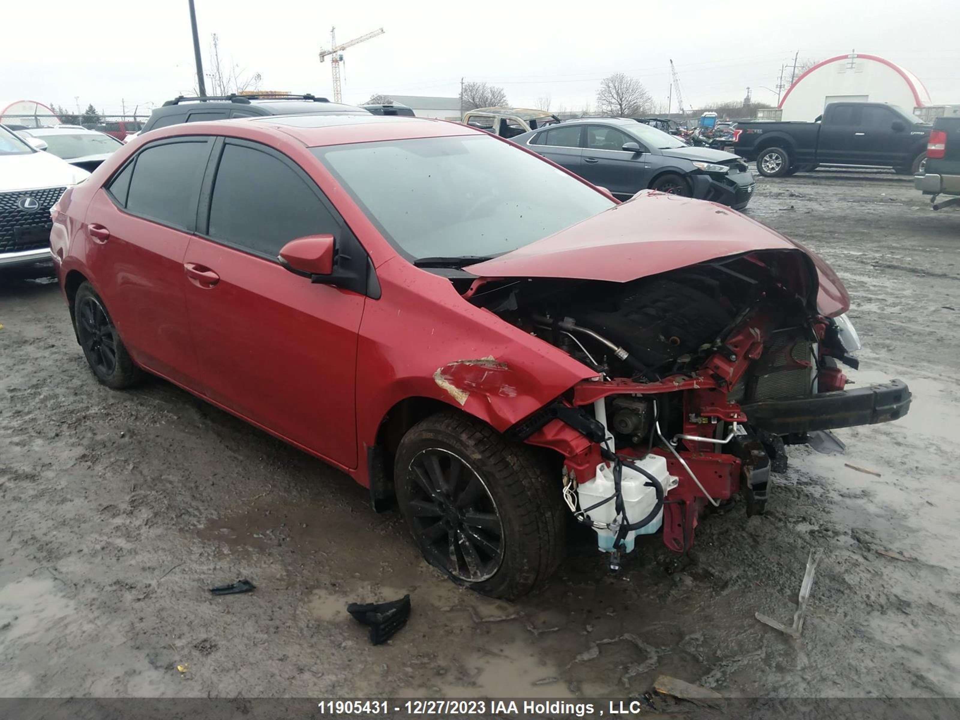 TOYOTA COROLLA 2016 2t1burhe8gc602825