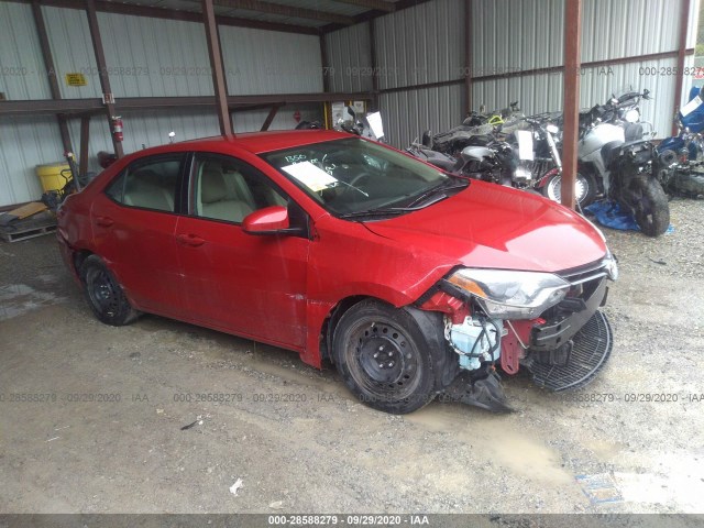 TOYOTA COROLLA 2015 2t1burhe9fc425068