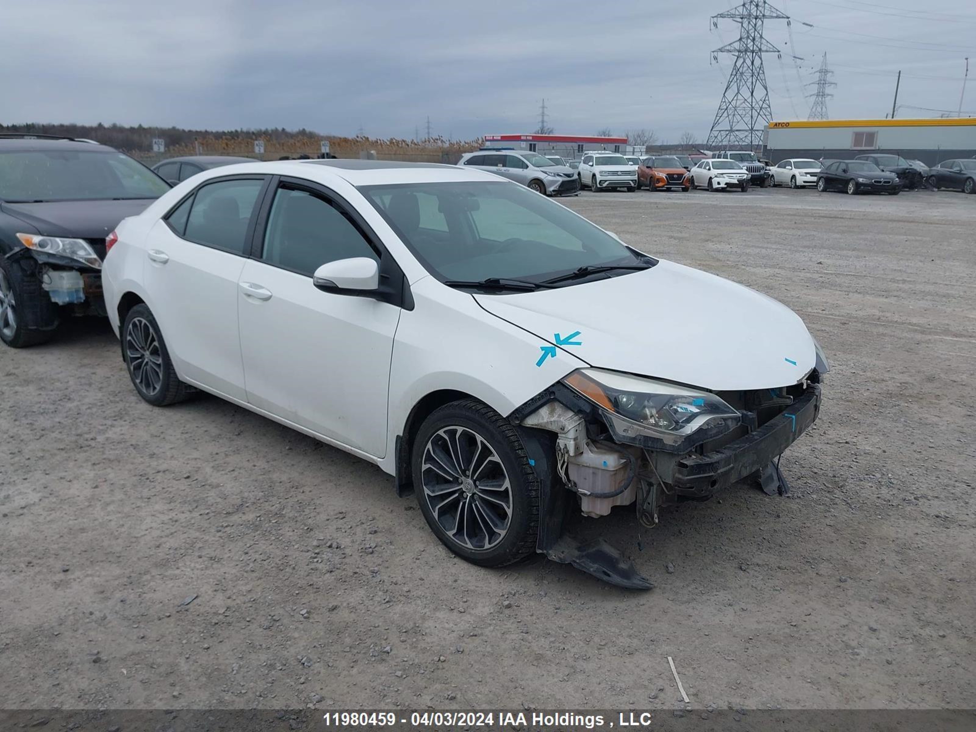 TOYOTA COROLLA 2016 2t1burhe9gc523549