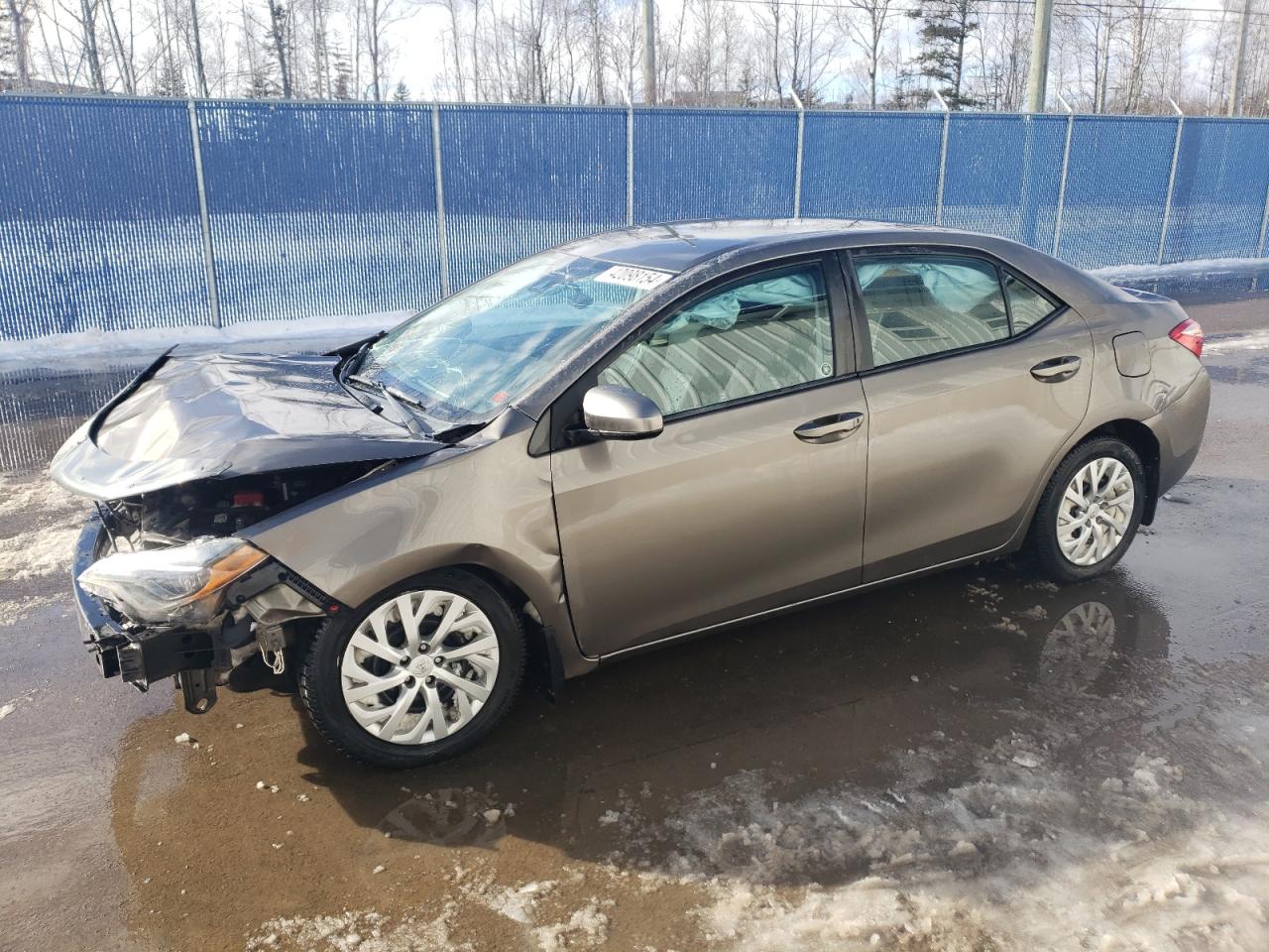 TOYOTA COROLLA 2017 2t1burhe9hc941353