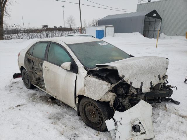 TOYOTA COROLLA L 2014 2t1burhexec000800