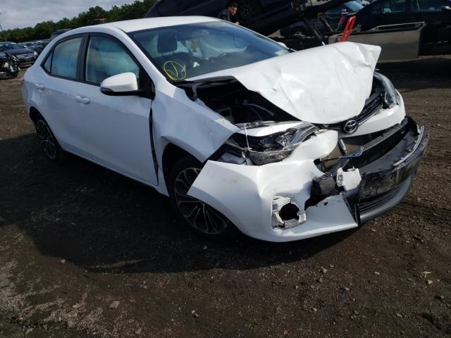 TOYOTA COROLLA L 2014 2t1burhexec188962