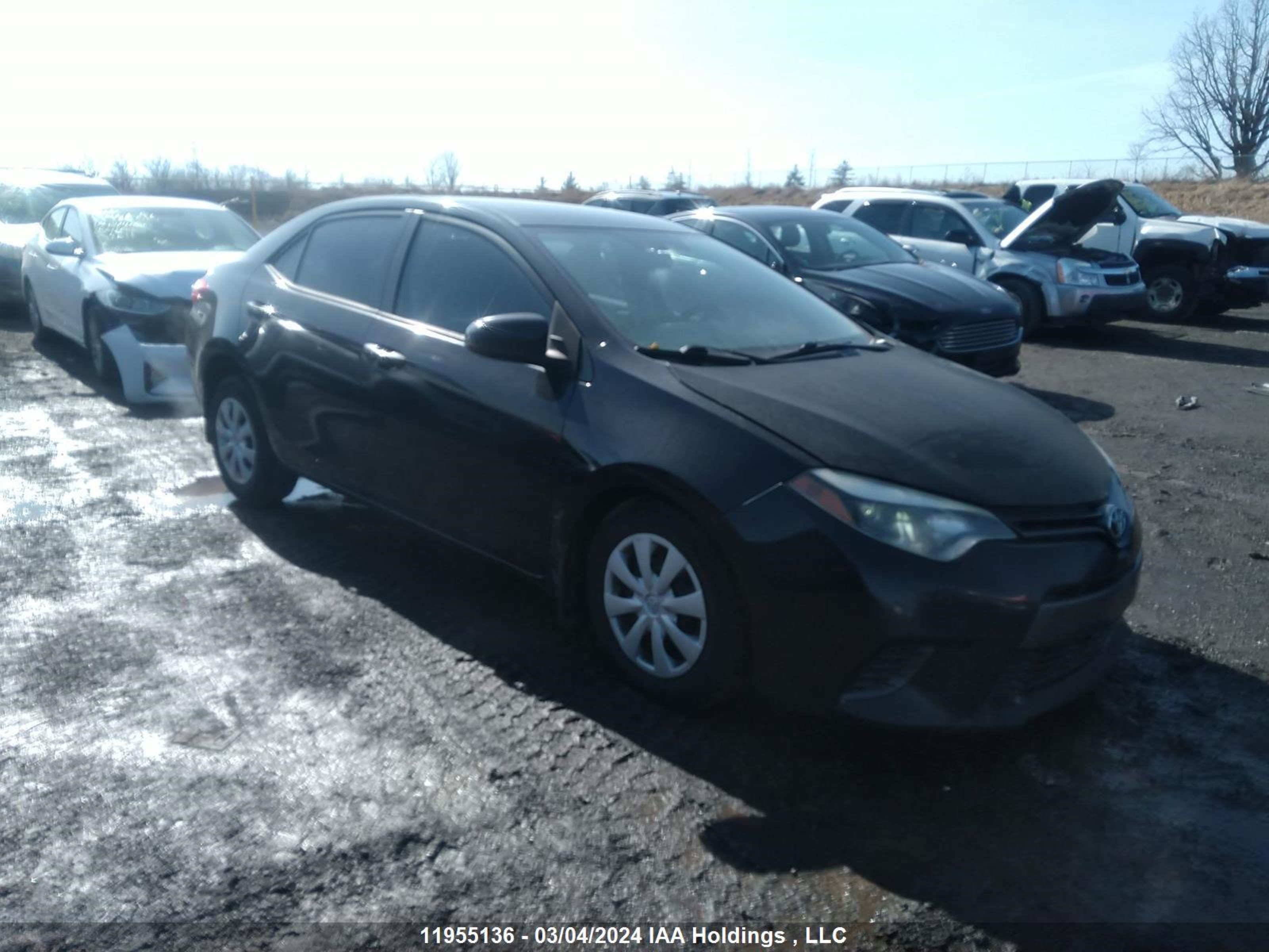 TOYOTA COROLLA 2015 2t1burhexfc316294