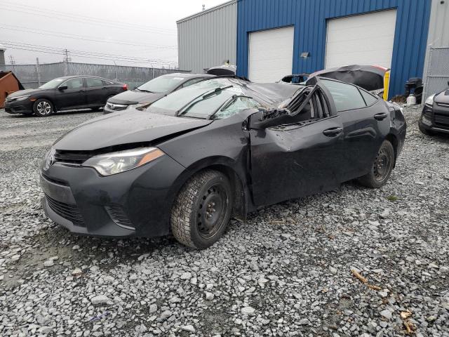 TOYOTA COROLLA 2016 2t1burhexgc529358