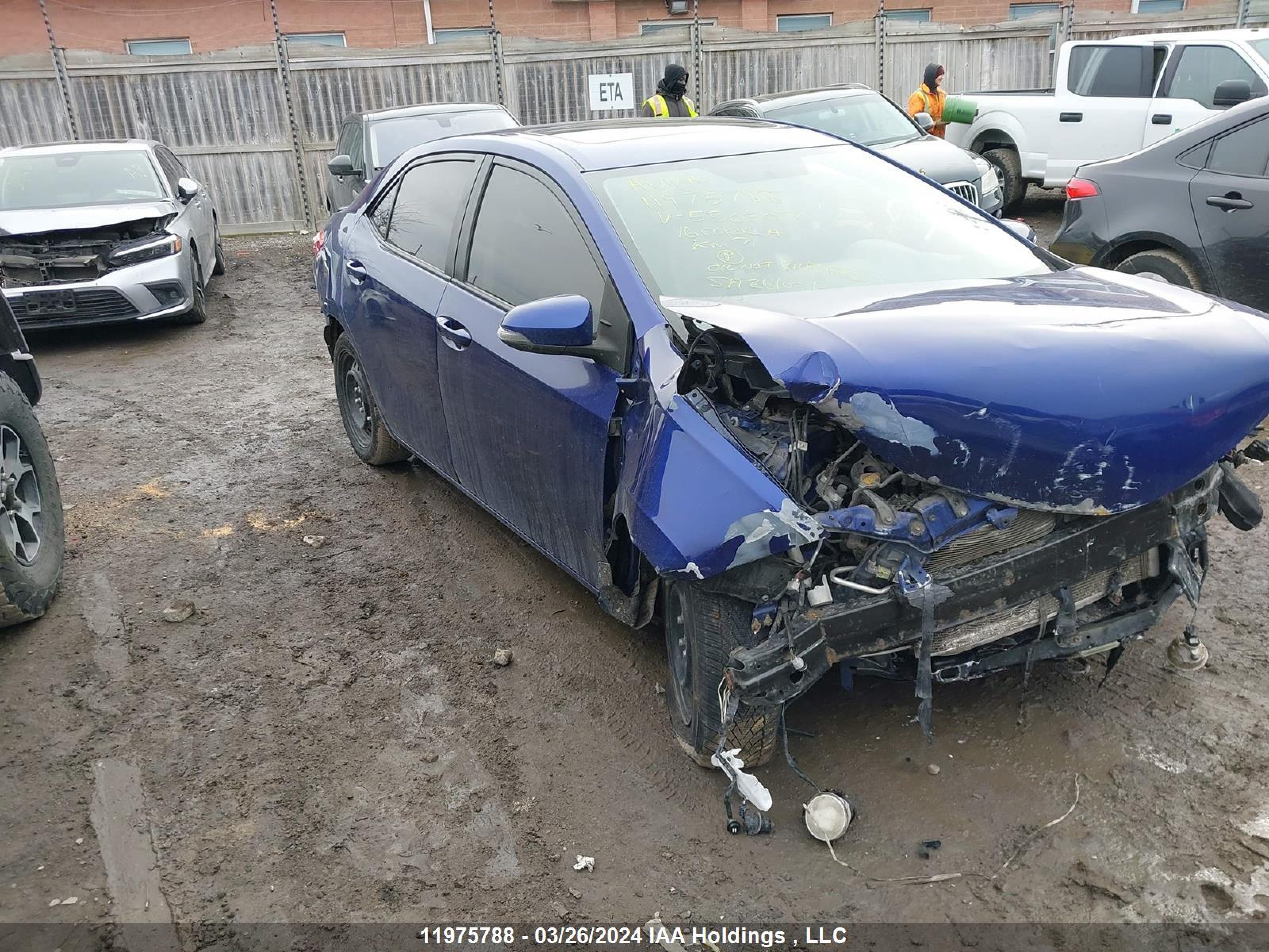 TOYOTA COROLLA 2016 2t1burhexgc550307