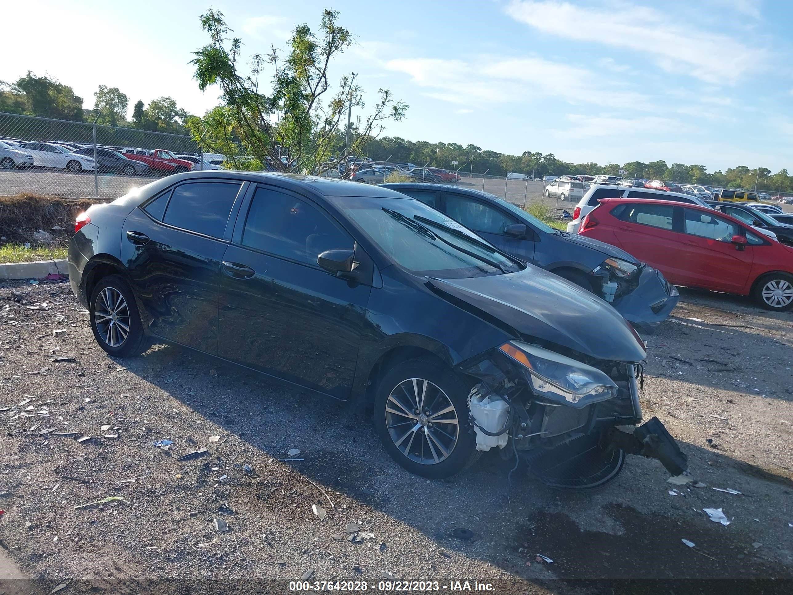 TOYOTA COROLLA 2016 2t1burhexgc560514