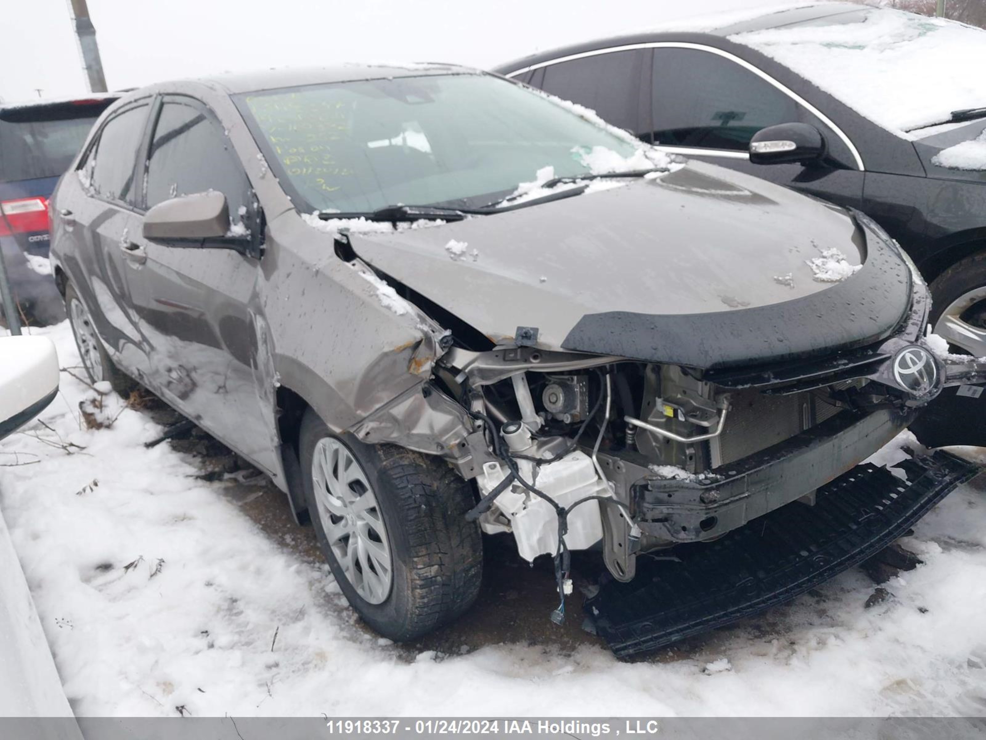 TOYOTA COROLLA 2019 2t1burhexkc169372