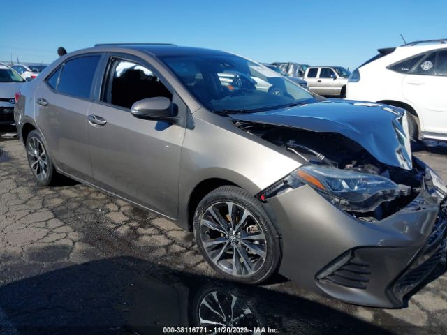 TOYOTA COROLLA 2019 2t1burhexkc229196