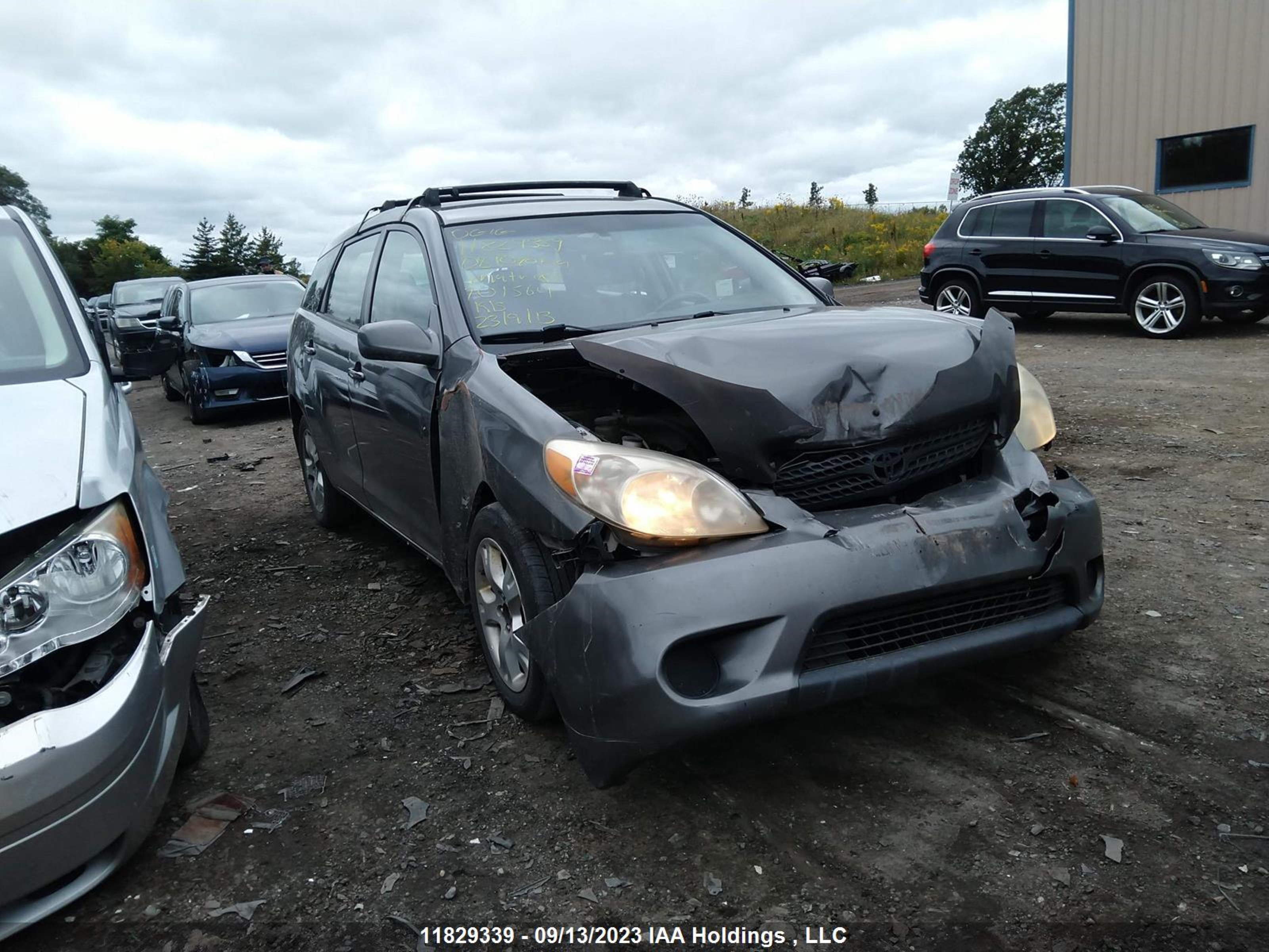 TOYOTA MATRIX 2008 2t1kr32e78c701564