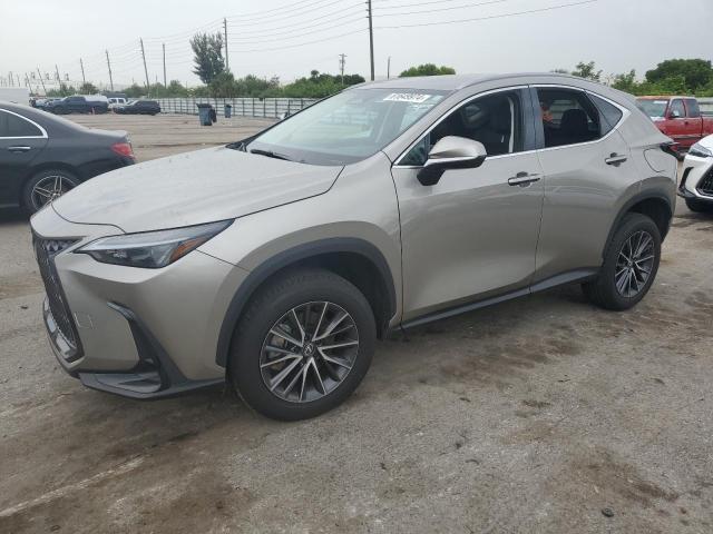 LEXUS NX 250 BAS 2024 2t2adcaz0rc007388